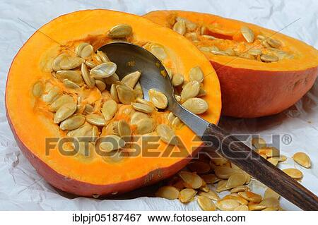 Pumpkin, halved, with spoon, orange peck variety, edible pumpkin View Large Photo Image Stock Photo - Pumpkin, halved, with spoon, orange peck variety, edible pumpkin. Fotosearch