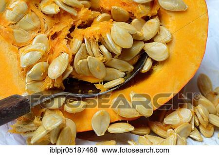 Stock Photo - Pumpkin, halved, with spoon, orange peck variety, edible pumpkin. Fotosearch