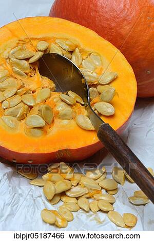 Pumpkin, halved, with spoon, orange peck variety, edible pumpkin View Large Photo Image Stock Photograph - Pumpkin, halved, with spoon, orange peck variety, edible pumpkin. Fotosearch