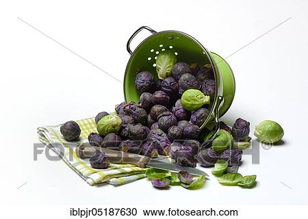 Purple and green Brussels sprouts in sieve View Large Photo Image Stock Image - Purple and green Brussels sprouts in sieve. Fotosearch