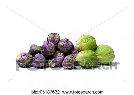 Stock Image - Purple and green Brussels sprouts. Fotosearch