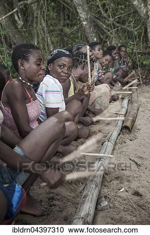Pygmies, people of Baaka, or Baka, or Ba'aka, Music Performance and Dance, Grand Batanga, Southern Region, Cameroon, Africa View Large Photo Image Stock Image - Pygmies, people of Baaka, or Baka, or Ba'aka, Music Performance and Dance, Grand Batanga, Southern Region, Cameroon, Africa. Fotosearch