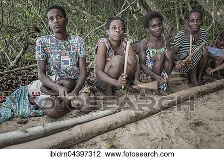 Pygmies, people of Baaka, or Baka, or Ba'aka, Music Performance and Dance, Grand Batanga, Southern Region, Cameroon, Africa View Large Photo Image Stock Image - Pygmies, people of Baaka, or Baka, or Ba'aka, Music Performance and Dance, Grand Batanga, Southern Region, Cameroon, Africa. Fotosearch