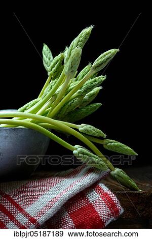 Stock Photo - Pyrenees-Star-of-Bethlehem ( Ornithogalum) pyrenaicum, wild asparagus, Prussian asparagus. Fotosearch