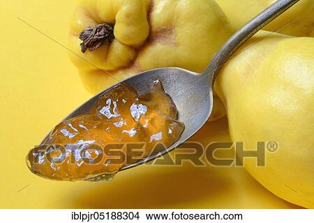 Quince jelly in spoon, quince, Cydonia oblonga View Large Photo Image Picture - Quince jelly in spoon, quince, Cydonia oblonga. Fotosearch