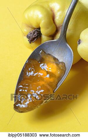 Quince jelly in spoon, quince, Cydonia oblonga View Large Photo Image Stock Image - Quince jelly in spoon, quince, Cydonia oblonga. Fotosearch