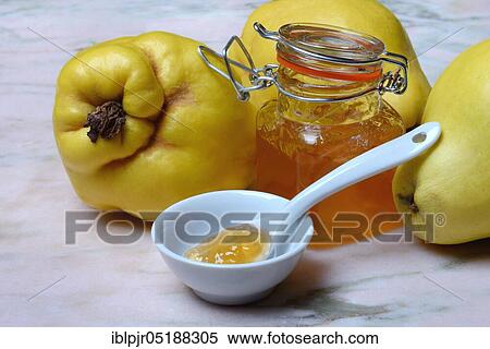 Quince jelly in spoon, quince, Cydonia oblonga View Large Photo Image Stock Photography - Quince jelly in spoon, quince, Cydonia oblonga. Fotosearch