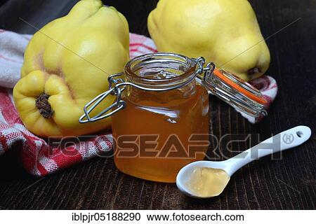 Quince jelly, quince, Cydonia oblonga View Large Photo Image Stock Image - Quince jelly, quince, Cydonia oblonga. Fotosearch