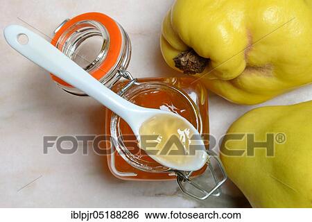Quince jelly, quince, Cydonia oblonga View Large Photo Image Stock Photograph - Quince jelly, quince, Cydonia oblonga. Fotosearch