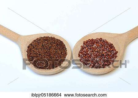 Picture - Quinoa ( above) and Kaniwa ( unten) in cooking spoon, Chenopodium quinoa, Chenopodium pallidicaule. Fotosearch