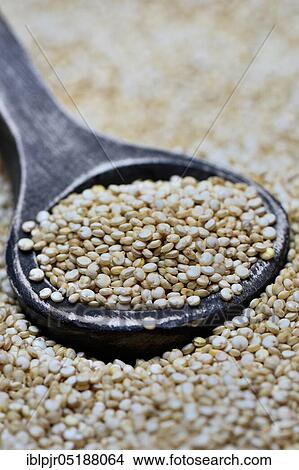 Picture - Quinoa with wooden spoon, Chenopodium quinoa. Fotosearch