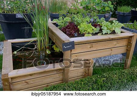 Raised bed with water basin View Large Photo Image Picture - Raised bed with water basin. Fotosearch