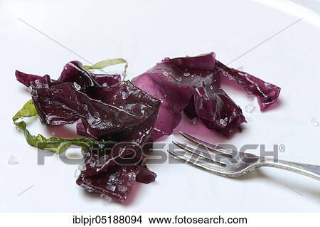 Picture - Red alga with sea salt and fork, seaweed, Rhodymenia palmata. Fotosearch