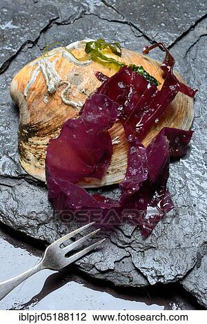 Red alga with sea salt in mussel shell and fork, Palmaria palmata, Wild Dulse View Large Photo Image Stock Image - Red alga with sea salt in mussel shell and fork, Palmaria palmata, Wild Dulse. Fotosearch