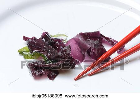 Red algae with sea salt and chopsticks, seaweed, Rhodymenia palmata View Large Photo Image Stock Photography - Red algae with sea salt and chopsticks, seaweed, Rhodymenia palmata. Fotosearch