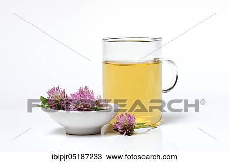 Stock Image - Red clover-Tea in glass, tea. Fotosearch