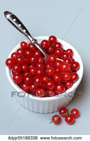 Red currants in bowl and spoon View Large Photo Image Stock Photo - Red currants in bowl and spoon. Fotosearch