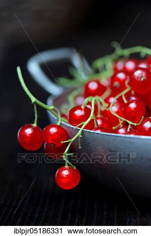 Red currants in bowl View Large Photo Image Stock Image - Red currants in bowl. Fotosearch