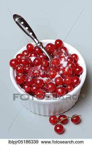 Redcurrants with sugar, in bowl with spoon View Large Photo Image Stock Photo - Redcurrants with sugar, in bowl with spoon. Fotosearch