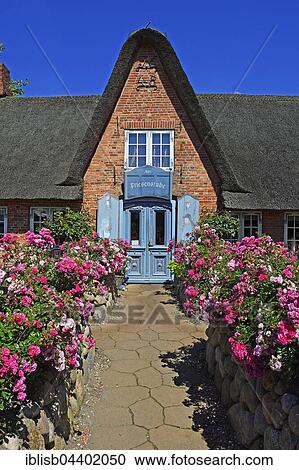 Restaurant Alte Friesenstube, Westerland, Sylt, North Frisian Islands, North Frisia, Schleswig-Holstein, Germany, Europe View Large Photo Image Stock Image - Restaurant Alte Friesenstube, Westerland, Sylt, North Frisian Islands, North Frisia, Schleswig-Holstein, Germany, Europe. Fotosearch