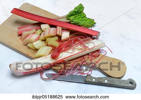 Stock Photography - Rhubarb with knife, Rhubarb stalk, Rheum rhabarbarum, Rhubarb stalk. Fotosearch