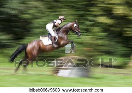 Rider over jumps obstacle with horse, blurred, show jumping, Laupheim, Baden-Württemberg, Germany, Europe View Large Photo Image Stock Image - Rider over jumps obstacle with horse, blurred, show jumping, Laupheim, Baden-Württemberg, Germany, Europe. Fotosearch