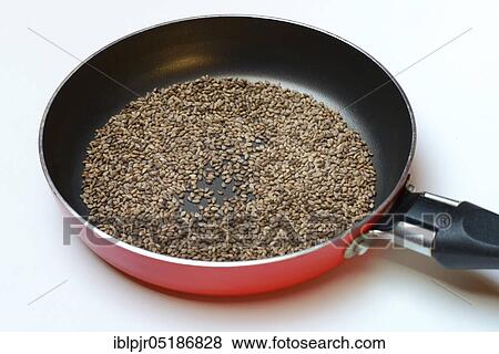 Stock Photo - Roasted white seeds ( Sesamum indicum) in pan. Fotosearch