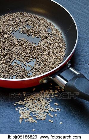 Stock Photo - Roasted white seeds ( Sesamum indicum) in pan. Fotosearch