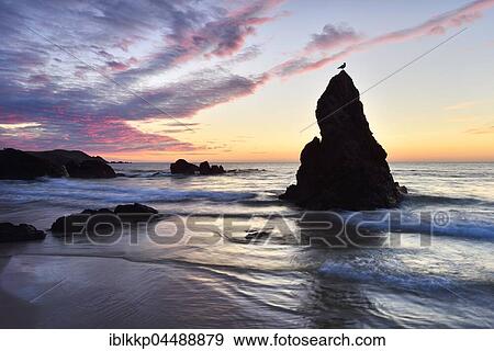 Stock Photo - Rock structure with bird, in the sea, morning atmosphere, Atlantic coast of Sango Sands, Durness, Scotland, United Kingdom, Europe. Fotosearch