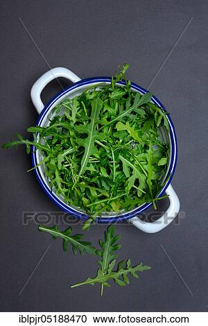 Stock Image - Rocket, rocket salad in shell, rocket, leaf salad, Eruca vesicaria sativa. Fotosearch