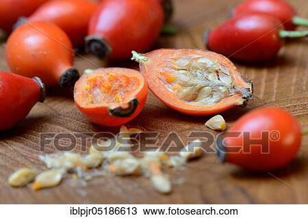 Rosehips, halved View Large Photo Image Stock Image - Rosehips, halved. Fotosearch