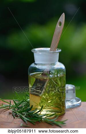Stock Image - Rosemary oil, Rosemary oil in bottle, with brush, Rosmarinus officinalis. Fotosearch
