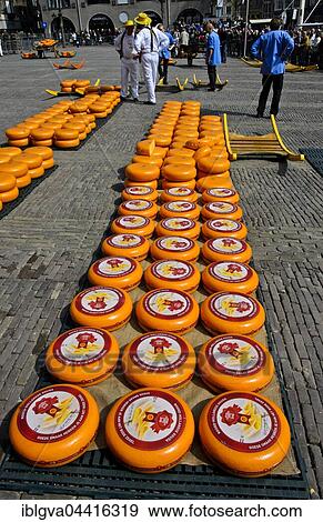 Rounds of Dutch Beemster Cheese, Cheese Market, Alkmaar, The Netherlands, Europe View Large Photo Image Stock Photo - Rounds of Dutch Beemster Cheese, Cheese Market, Alkmaar, The Netherlands, Europe. Fotosearch