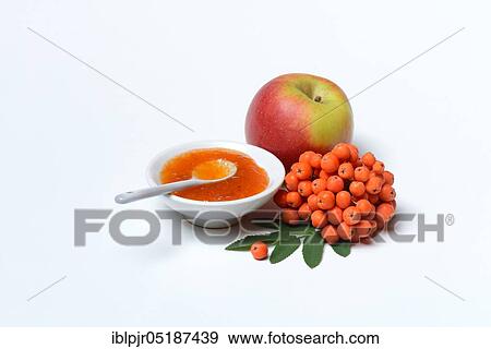 Stock Photo - Rowanberry and apple marmalade with n ( Sorbus aucuparia) and apple. Fotosearch