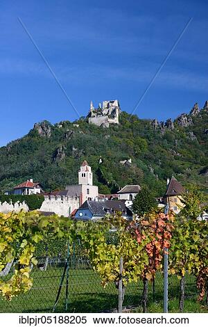 Ruin Dürnstein, vineyards, Dürnstein, Wachau, Austria, Europe View Large Photo Image Stock Photography - Ruin Dürnstein, vineyards, Dürnstein, Wachau, Austria, Europe. Fotosearch
