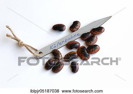 Stock Photo - Runner Beans (Phaseolus coccineus). Fotosearch