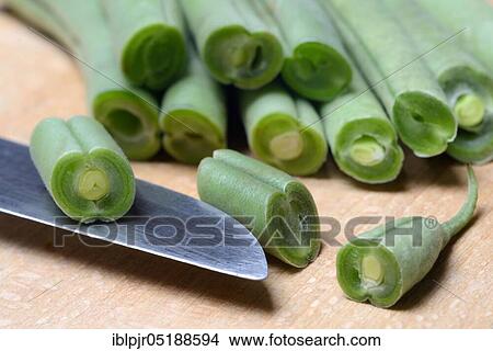 Runner beans with knife, crushed, Phaseolus vulgaris View Large Photo Image Picture - Runner beans with knife, crushed, Phaseolus vulgaris. Fotosearch