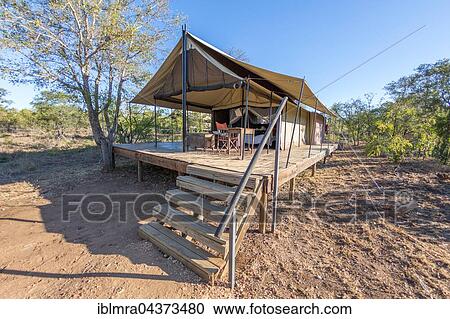 Safari camp and tent, Manyeleti Game Reserve, South Africa, Africa View Large Photo Image Stock Image - Safari camp and tent, Manyeleti Game Reserve, South Africa, Africa. Fotosearch