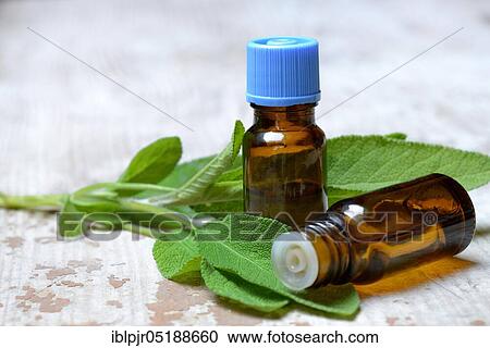 Stock Image - Sage oil in bottles and sage leaves, Salvia officinalis, sage oil, sage oil, sage oil. Fotosearch