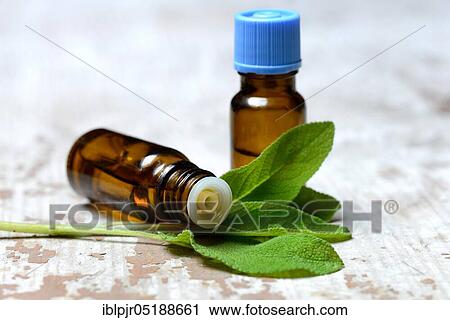 Stock Image - Sage oil in bottles and sage leaves, Salvia officinalis, sage oil, sage oil, sage oil. Fotosearch