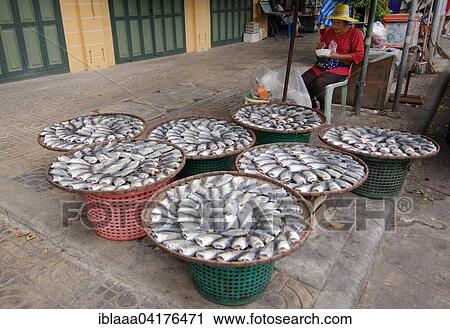 Sale of fish, market, Chinatown, Bangkok, Thailand, Asia View Large Photo Image Stock Image - Sale of fish, market, Chinatown, Bangkok, Thailand, Asia. Fotosearch