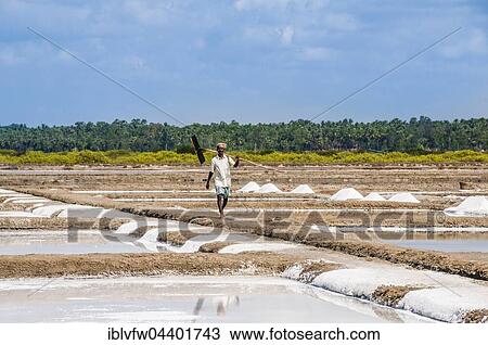 Stock Image - Salt mine workers, water basin for salt extraction, salt mine at Thazhankadu, Tamil Nadu, India, Asia. Fotosearch