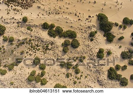 Sand dunes Dune di Piscinas, Costa Verde, Sardinia, Italy, Europe View Large Photo Image Stock Image - Sand dunes Dune di Piscinas, Costa Verde, Sardinia, Italy, Europe. Fotosearch