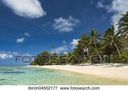 Stock Photo - Sandy beach with palm trees and turquoise water, Rarotonga, Cook Islands, Oceania. Fotosearch