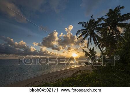 Sandy beach with palm trees at sunset, Rarotonga, Cook Islands, Oceania View Large Photo Image Stock Image - Sandy beach with palm trees at sunset, Rarotonga, Cook Islands, Oceania. Fotosearch