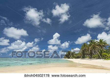 Stock Photo - Sandy beach with palm trees, Rarotonga, Cook Islands, Oceania. Fotosearch