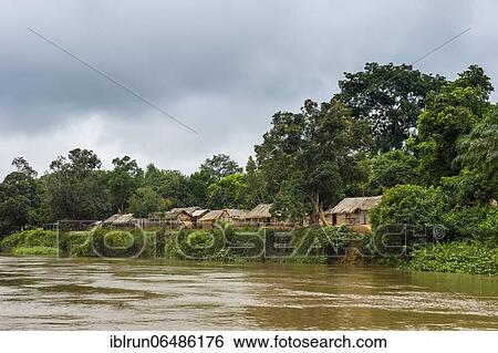 Sangha river, bordering C. A. R., deep in the jungle of Cameroon View Large Photo Image Stock Photograph - Sangha river, bordering C. A. R., deep in the jungle of Cameroon. Fotosearch