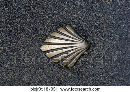 Scallop in asphalt, pilgrim shell, pilgrim sign, pilgrim way, pilgrim way, waymark, bronze, pilgrims, Santiago de Compostela, marking the Way of St. James, Vezelay, Burgundy, France, Europe View Large Photo Image Stock Image - Scallop in asphalt, pilgrim shell, pilgrim sign, pilgrim way, pilgrim way, waymark, bronze, pilgrims, Santiago de Compostela, marking the Way of St. James, Vezelay, Burgundy, France, Europe. Fotosearch