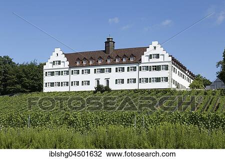 Schloss Hersberg with vineyard, Immenstaad, Lake Constance, Baden-Württemberg, Germany, Europe View Large Photo Image Stock Image - Schloss Hersberg with vineyard, Immenstaad, Lake Constance, Baden-Württemberg, Germany, Europe. Fotosearch