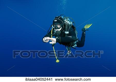Scuba diver at blue water, Red Sea, Egypt, Africa View Large Photo Image Stock Image - Scuba diver at blue water, Red Sea, Egypt, Africa. Fotosearch